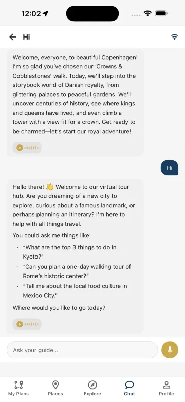 Chat with the AI guide